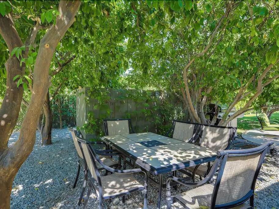 Serene 4 Bed 3 Bath Heated Pool Natural Backyard Heart Of Palm Springs Eksteriør billede